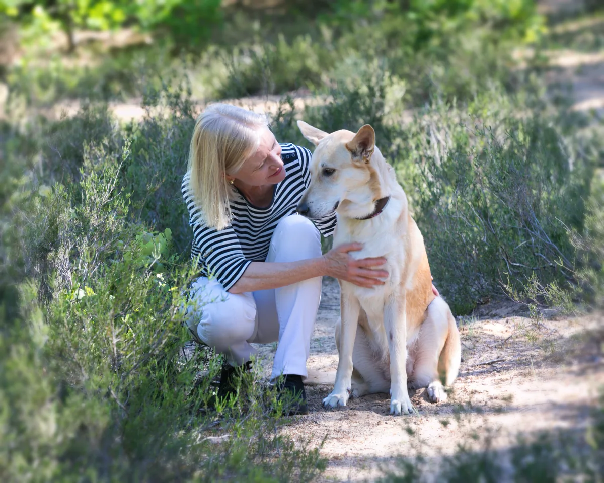 Britta Ernst kniet im Heidekraut neben einem Hund und berührt sanft seine Brust